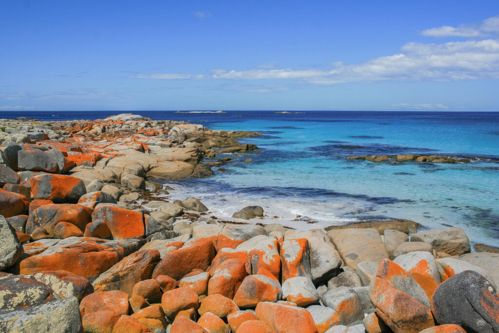 Orange lichen-covered rocks and blue water at the Bay of Fires