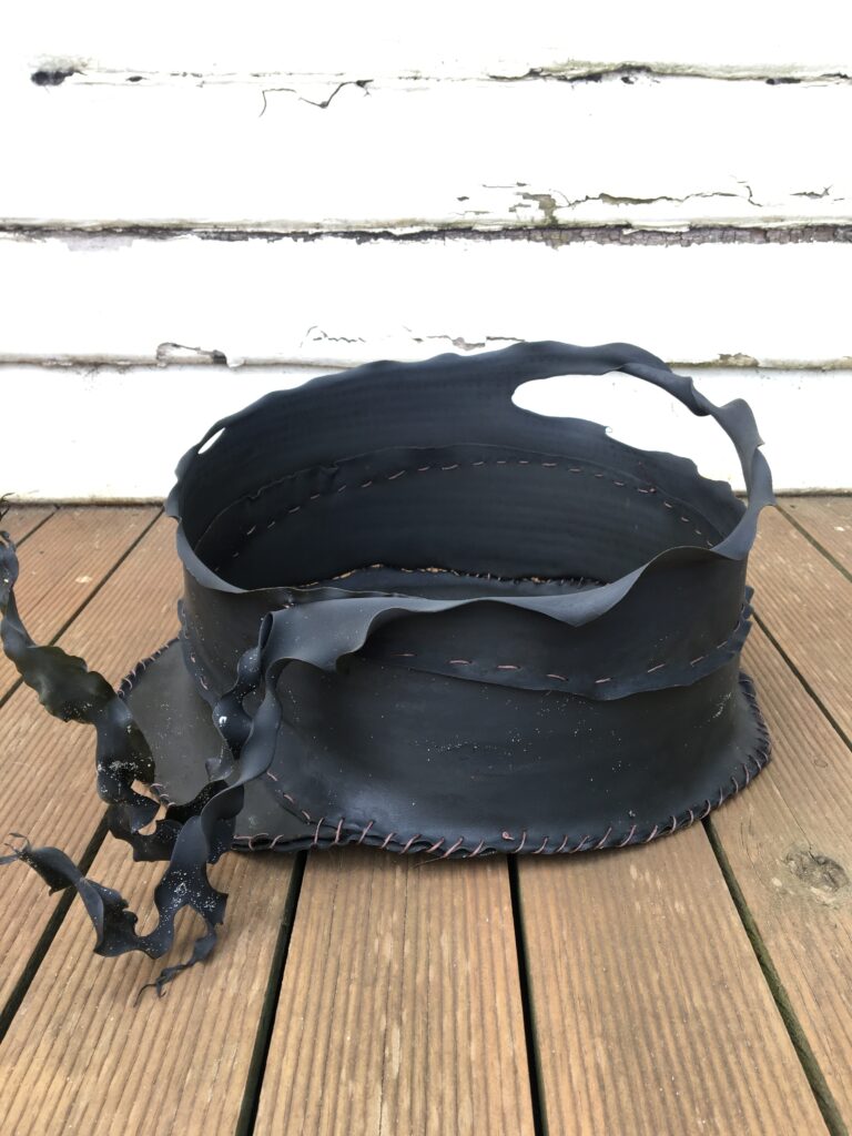 A sculptural basket stitched from Tasmanian kelp